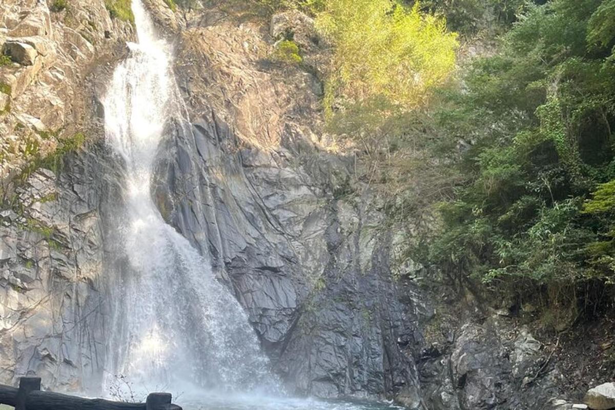 岩山の側面にある滝