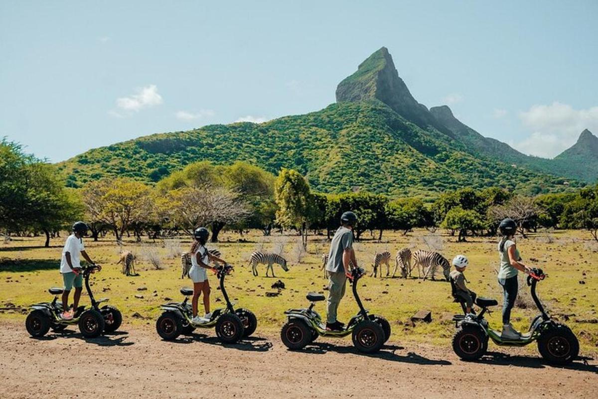 Un grupo de personas viajando en scooters en un campo con animales.