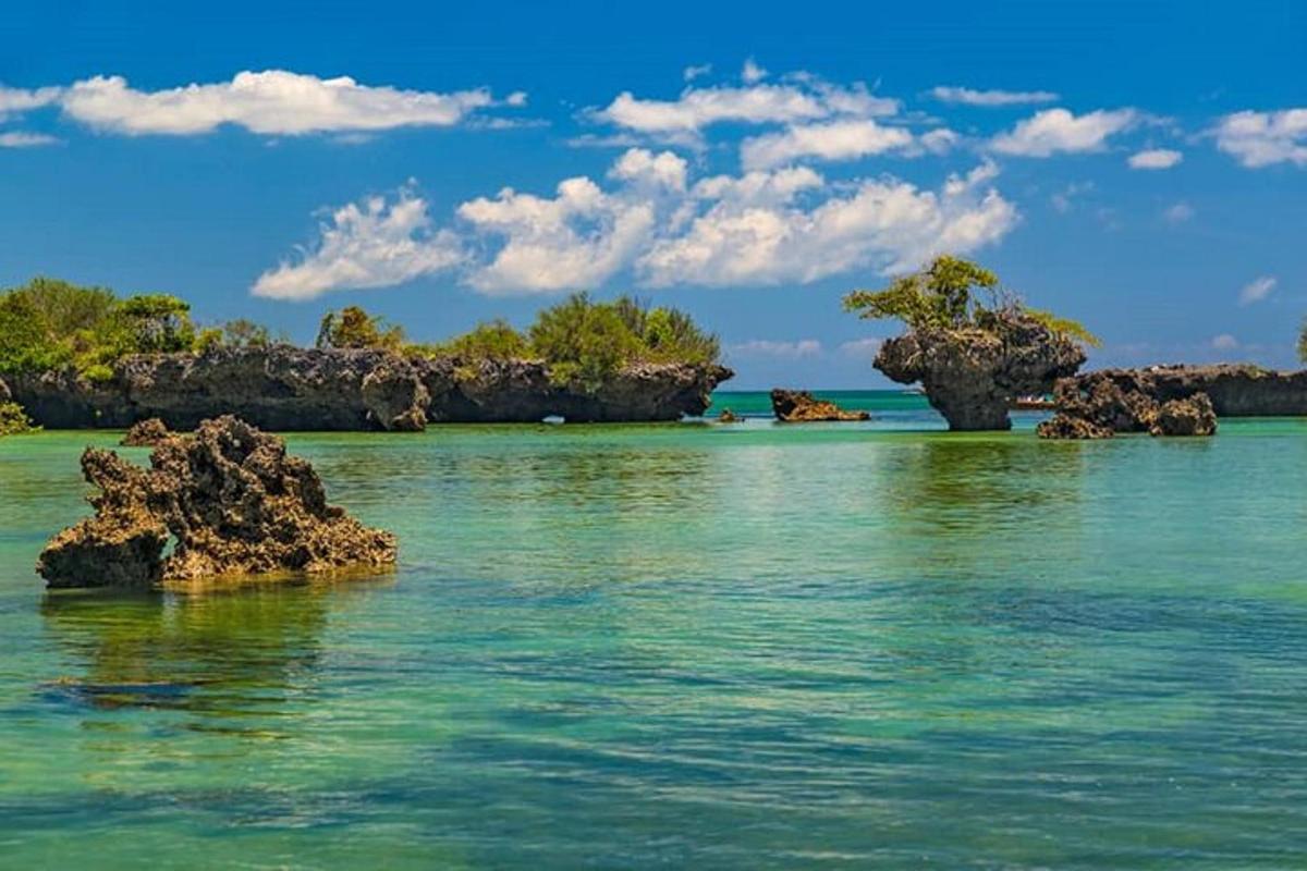 a body of water with rocks and trees in it