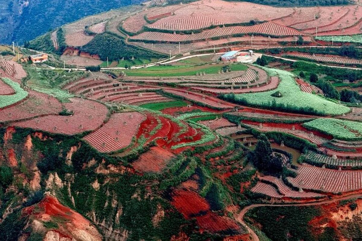 pemandangan udara ladang di sisi gunung