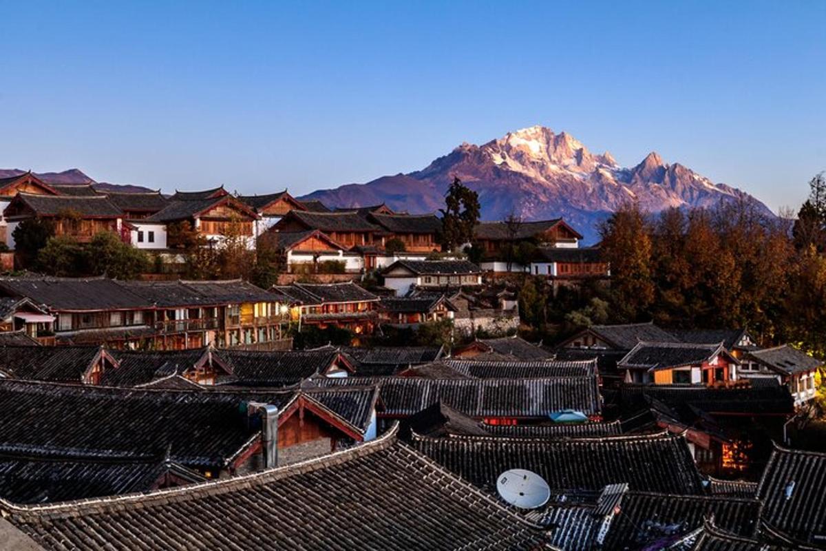 a village with houses and a mountain in the background