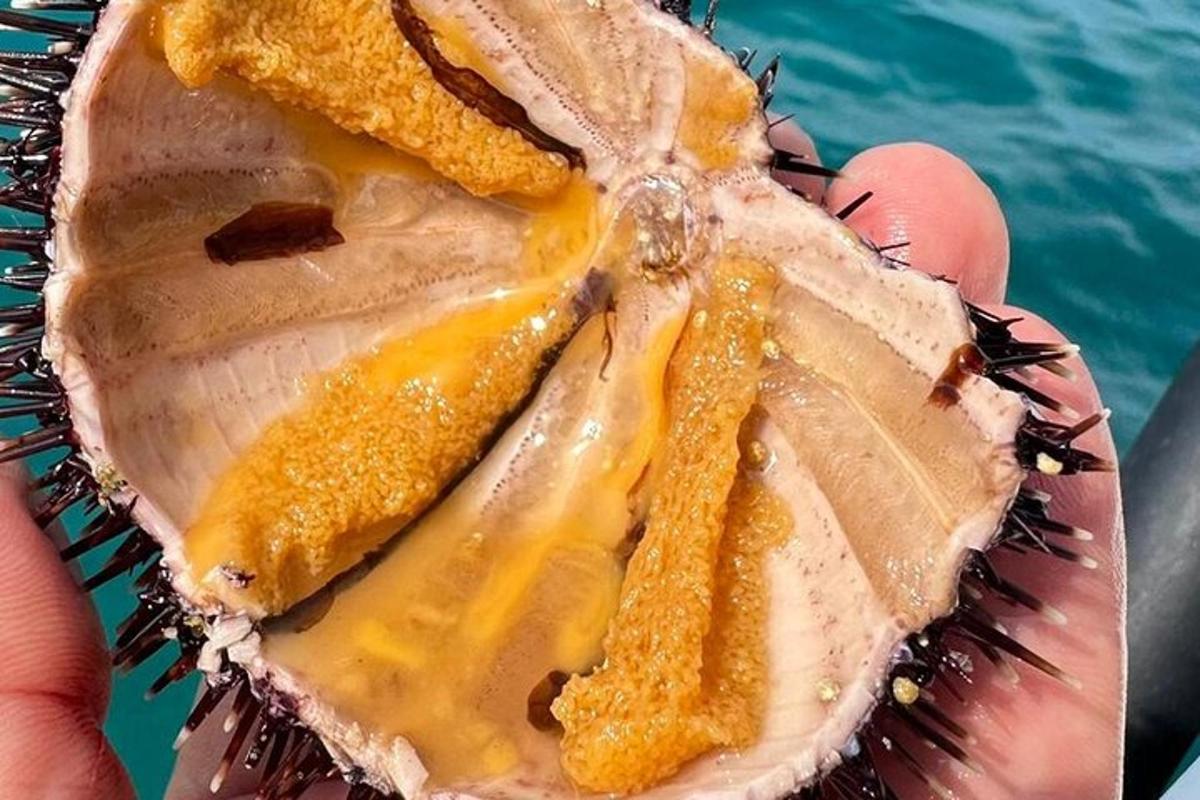 egy személy, aki egy darab ételt és egy gyümölccsel tart a kezében