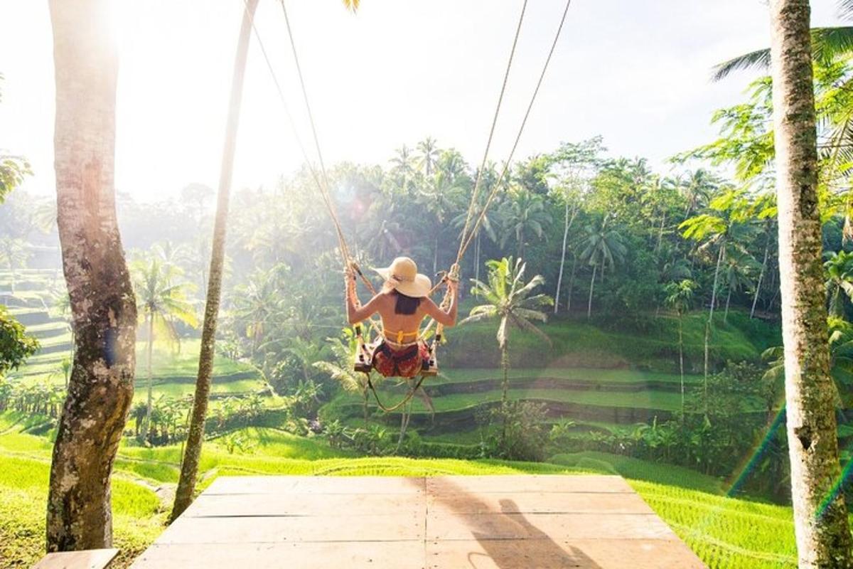 một người đàn ông trên xích đu trong rừng
