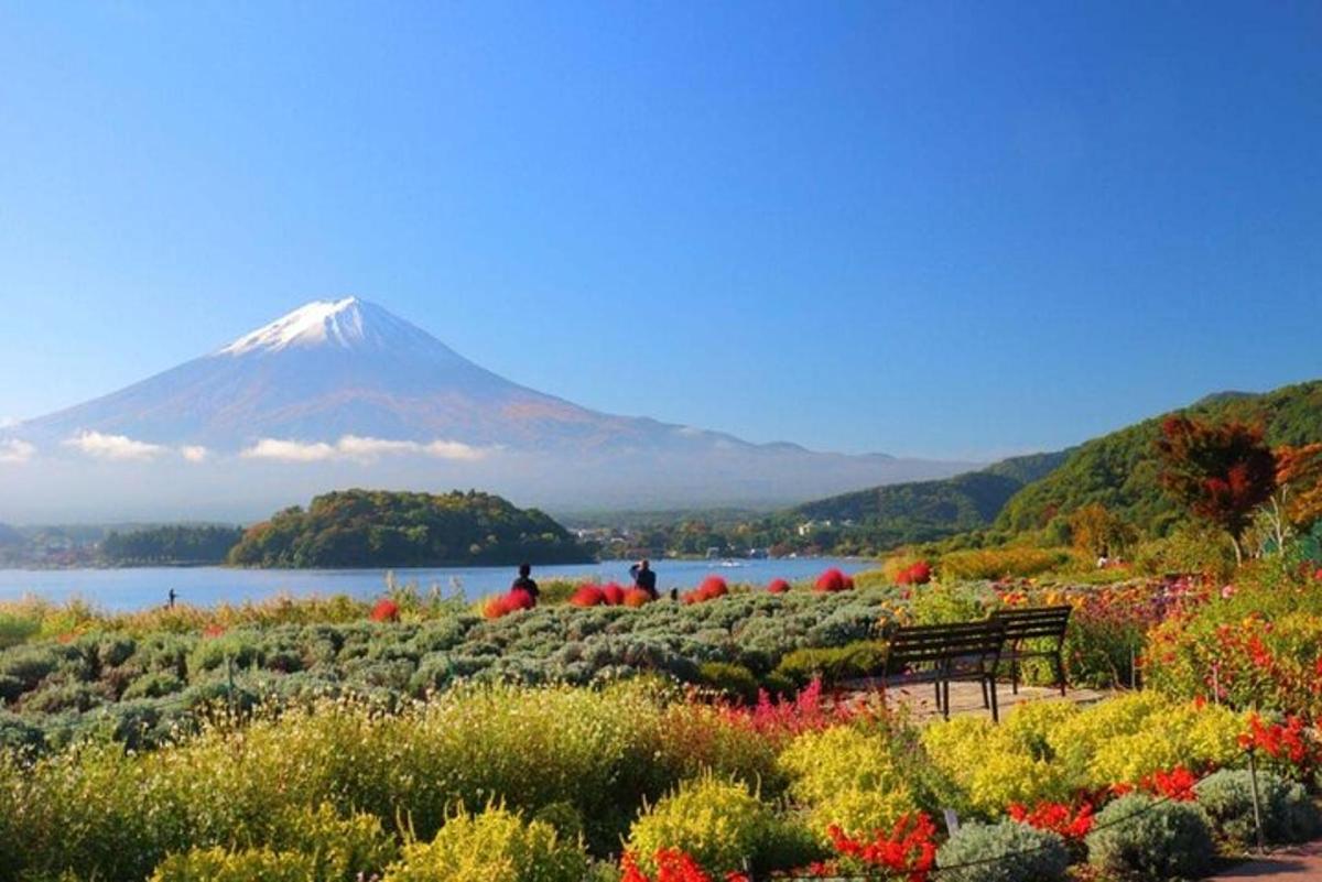 una panchina in un giardino con una montagna sullo sfondo