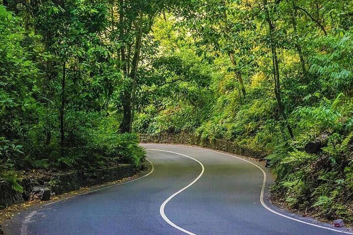 una strada tortuosa in mezzo a una foresta