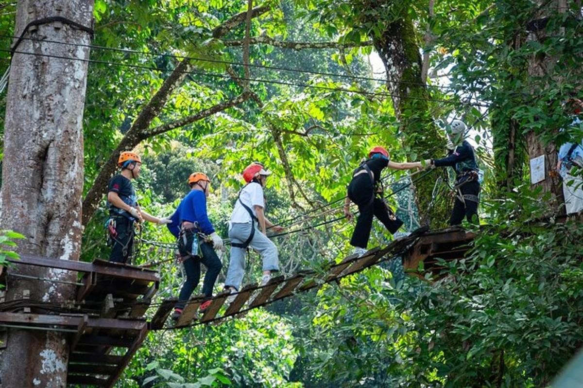 grupp inimesi kõnnib metsas üle rippsilla