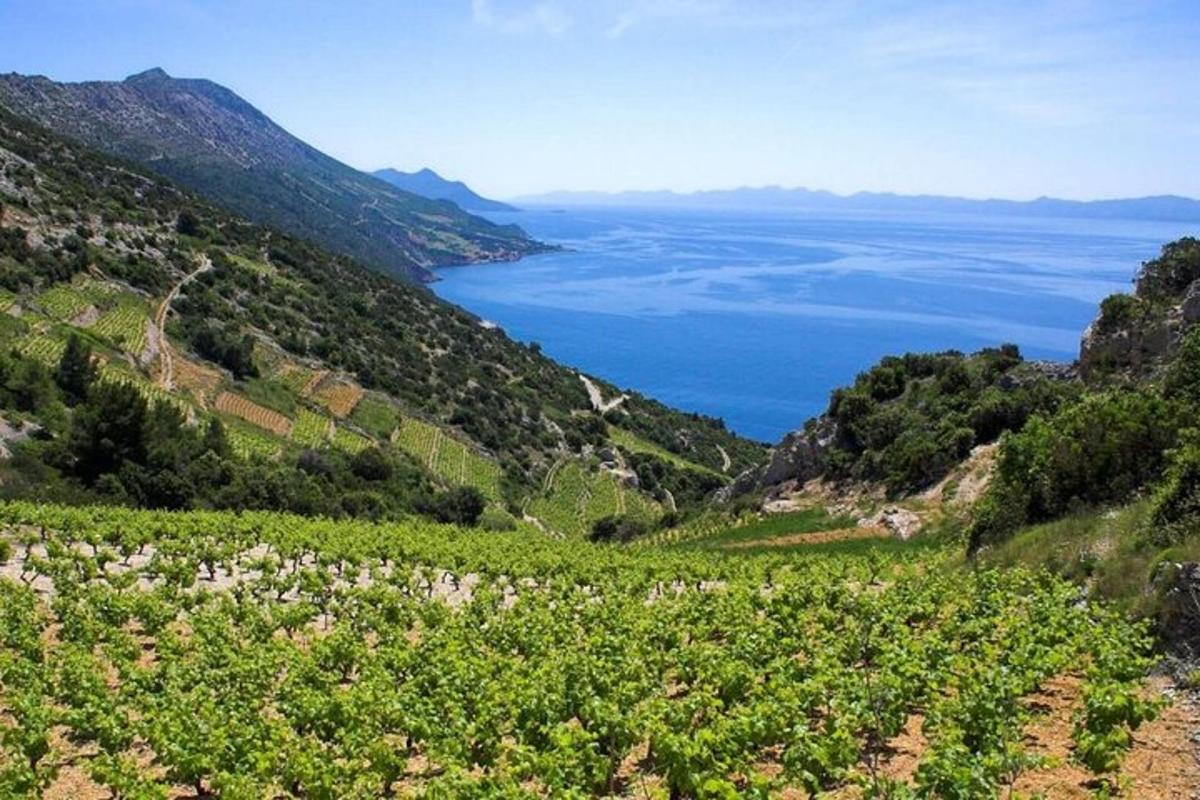 a view of the ocean from a mountain