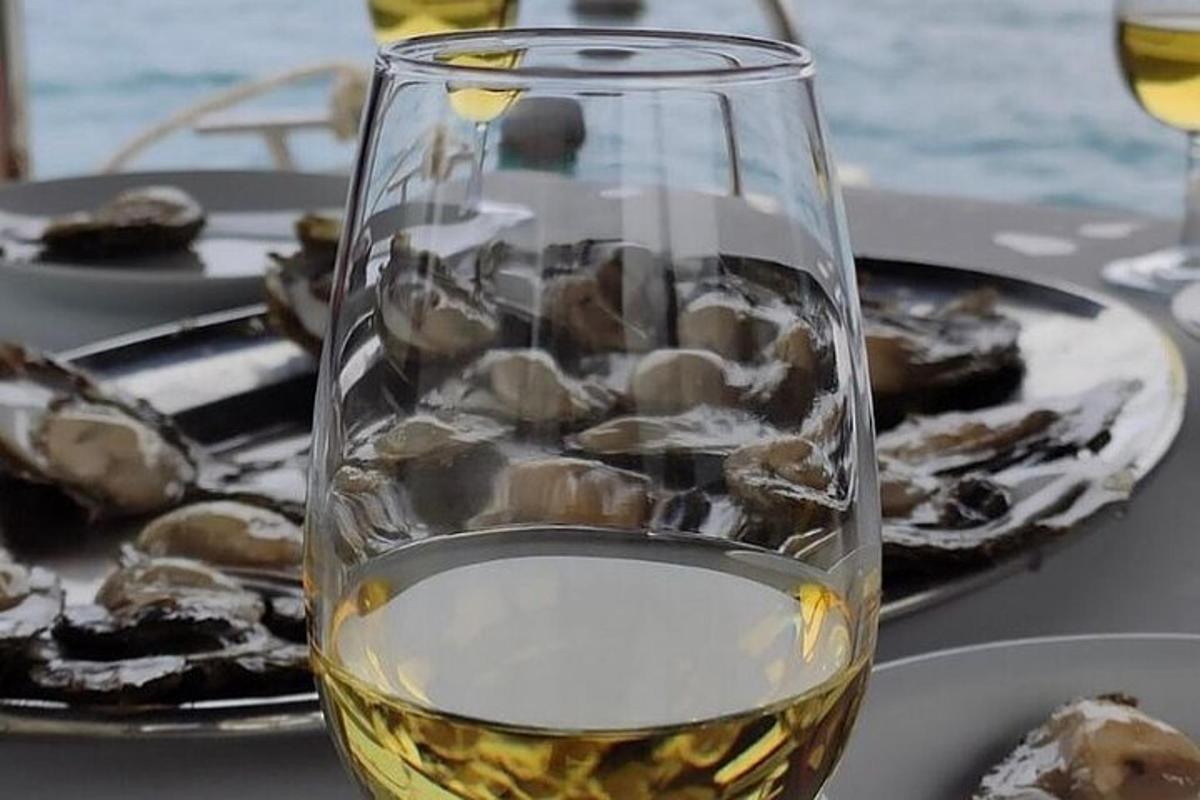a glass of wine on a table with a plate of oysters