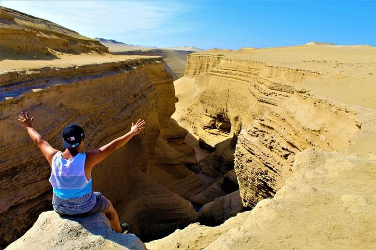 una dona dempeus sobre una roca al desert