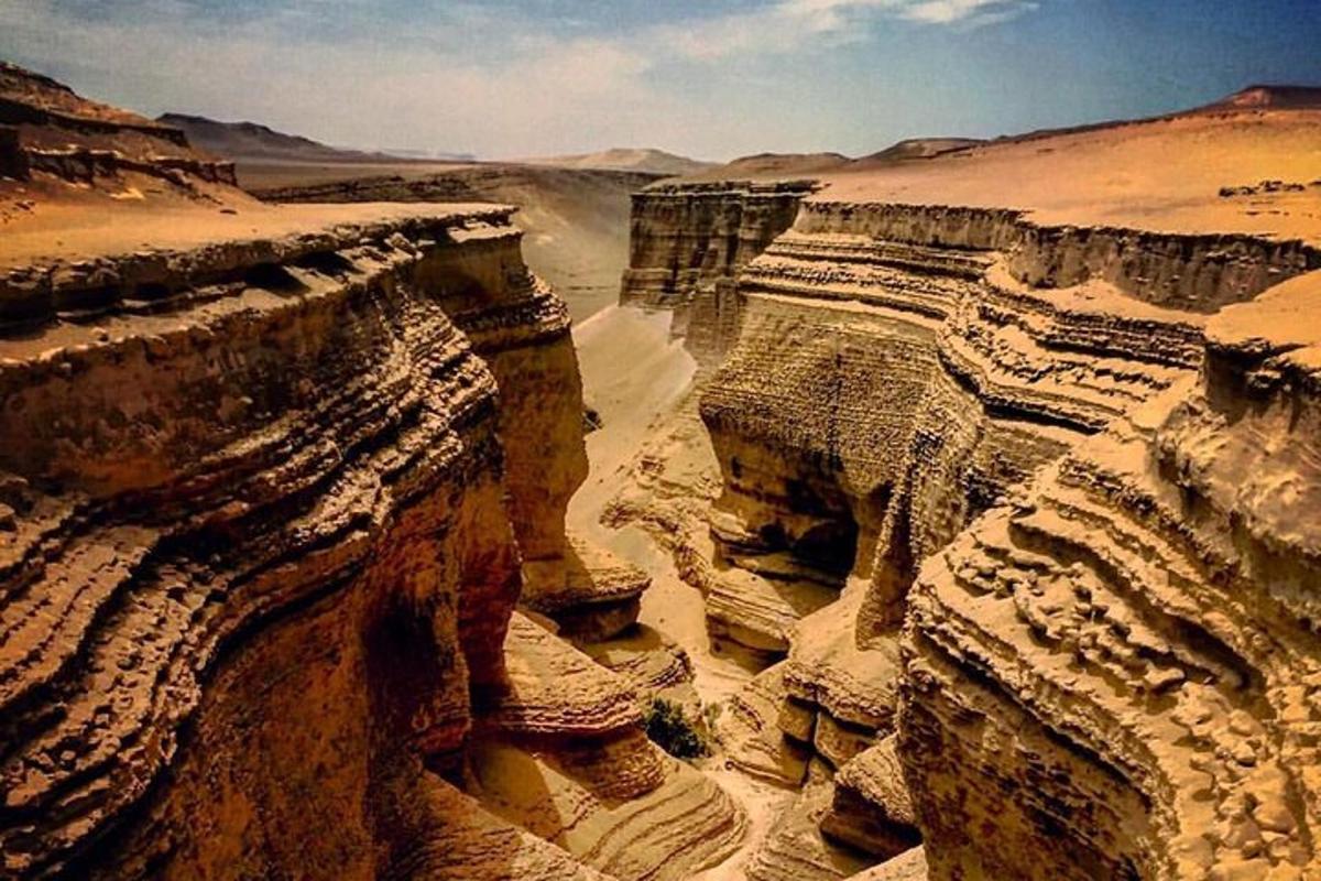 eine Luftaufnahme eines Canyons in der Wüste