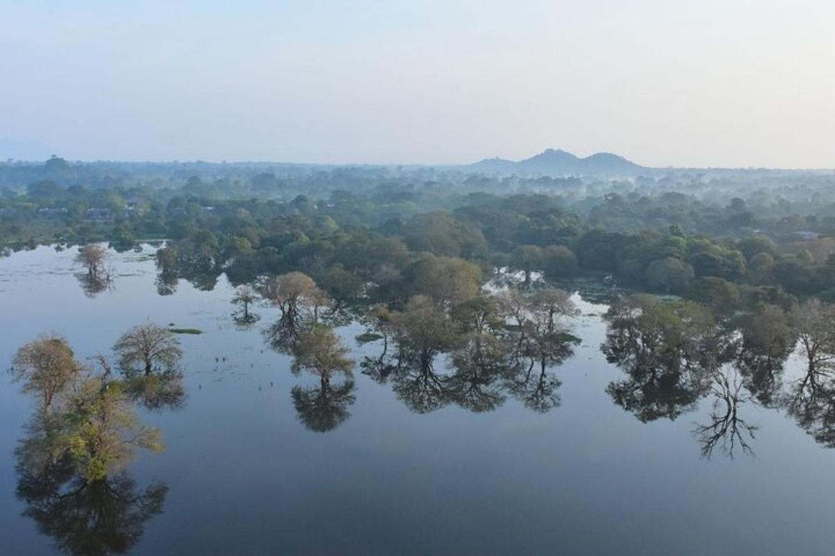 uma vista aérea de um corpo d'água com árvores