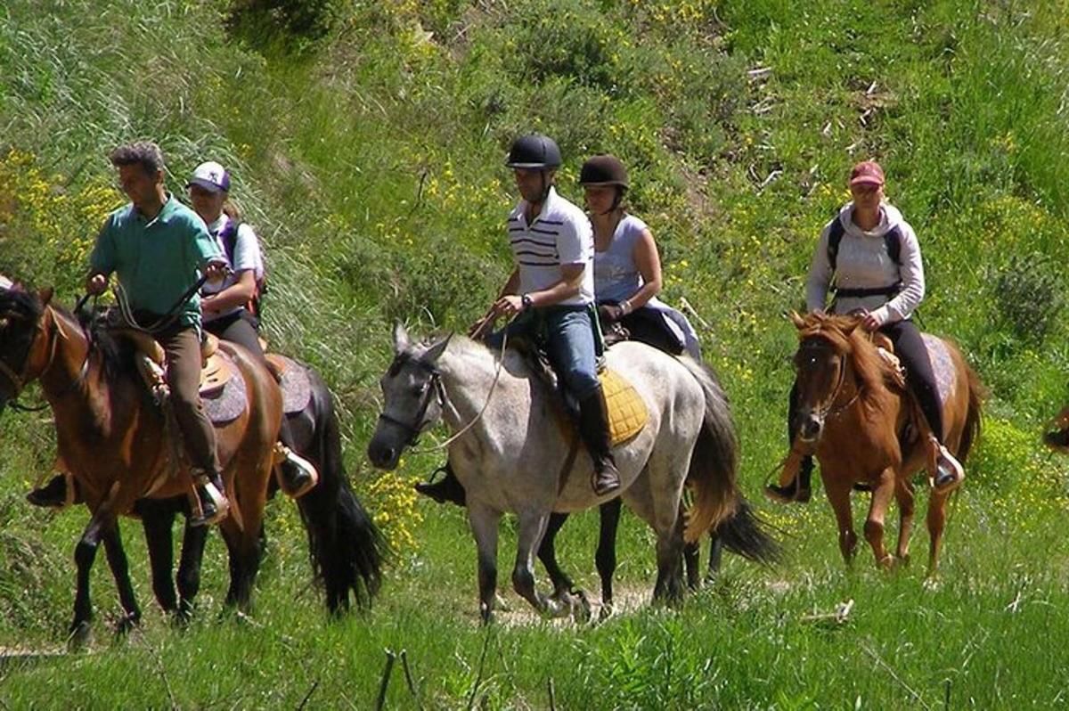 un grup de persones muntant a cavall en un camp