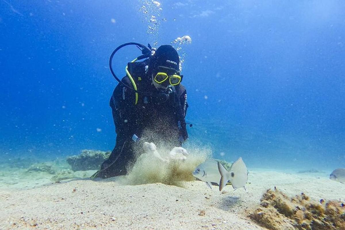 un sub nell'oceano che osserva i pesci nell'acqua