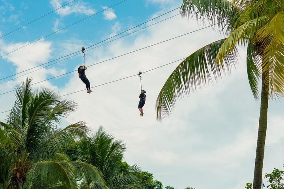 dva lidé jdou po zipline