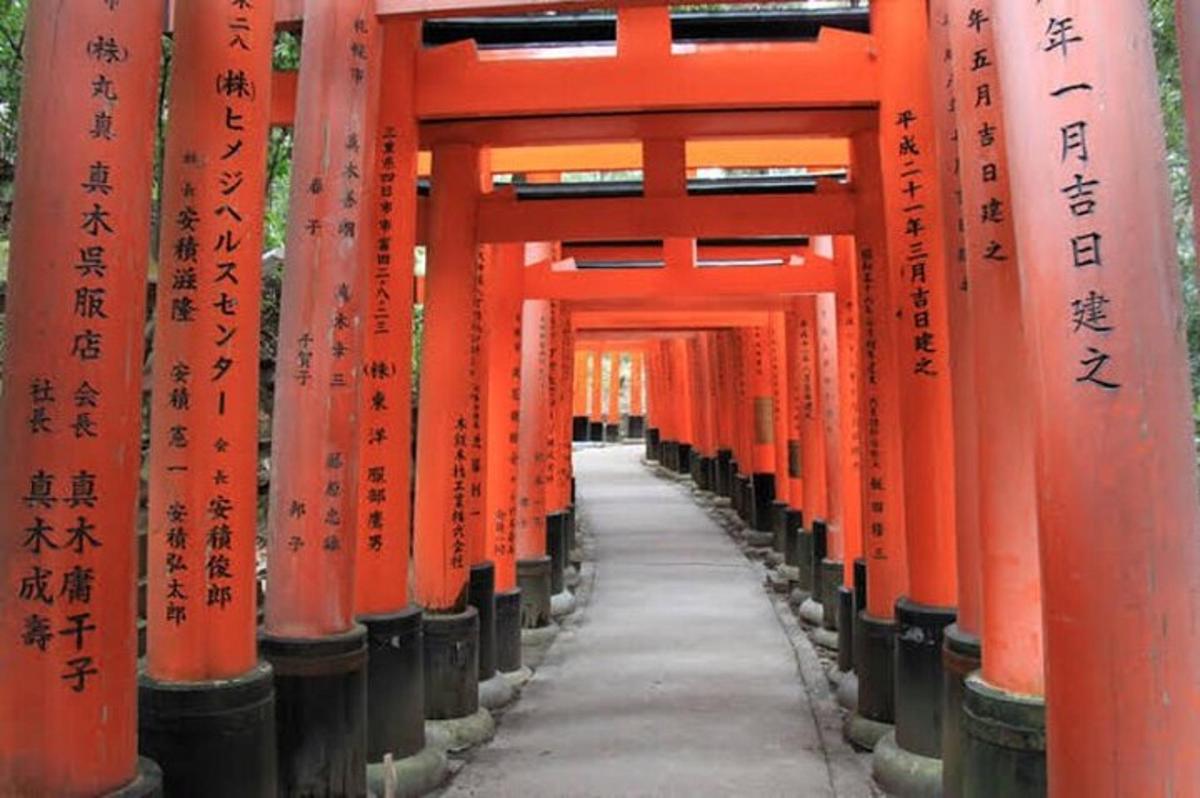 egy sor narancssárga torii kapu egy szentélyben