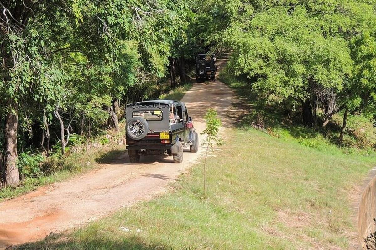 một chiếc xe jeep đang chạy trên một con đường đất
