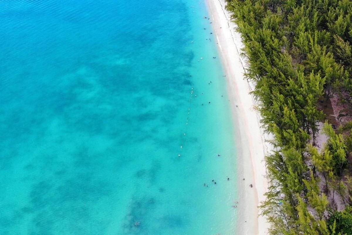 una vista aerea di una spiaggia e dell'oceano
