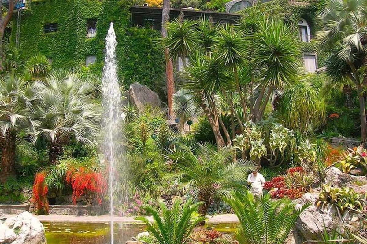 air pancut di tengah-tengah taman dengan pokok palma
