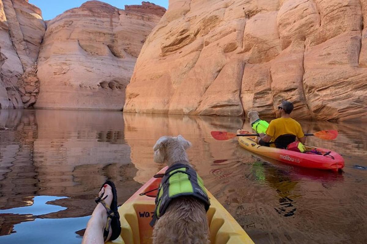 a man and a dog in a kayak in the water