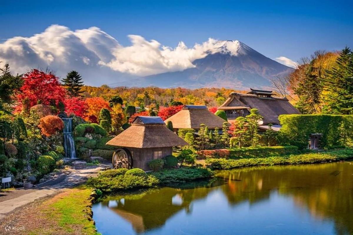 a garden with a mountain in the background