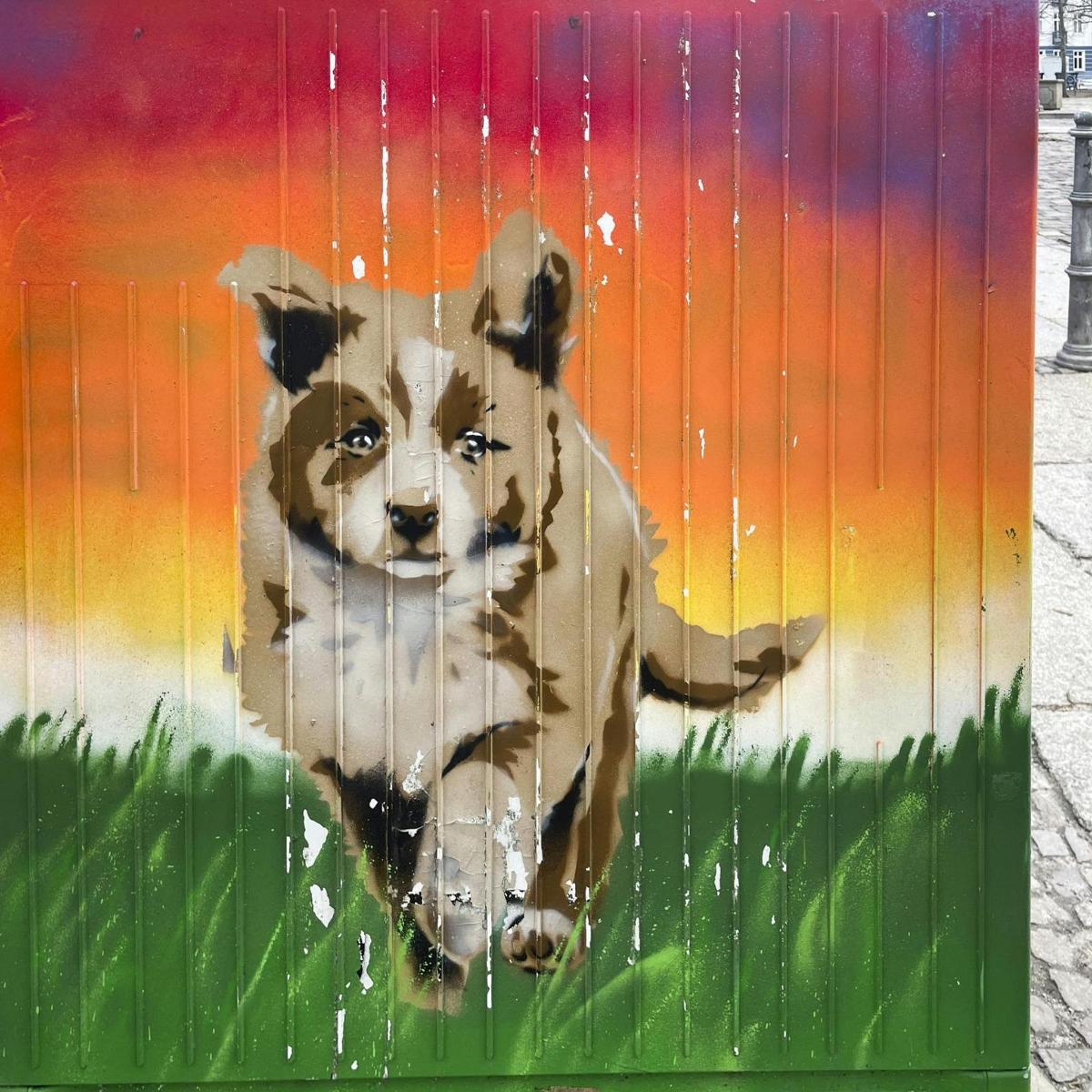 un dipinto di un leone sul lato di un muro