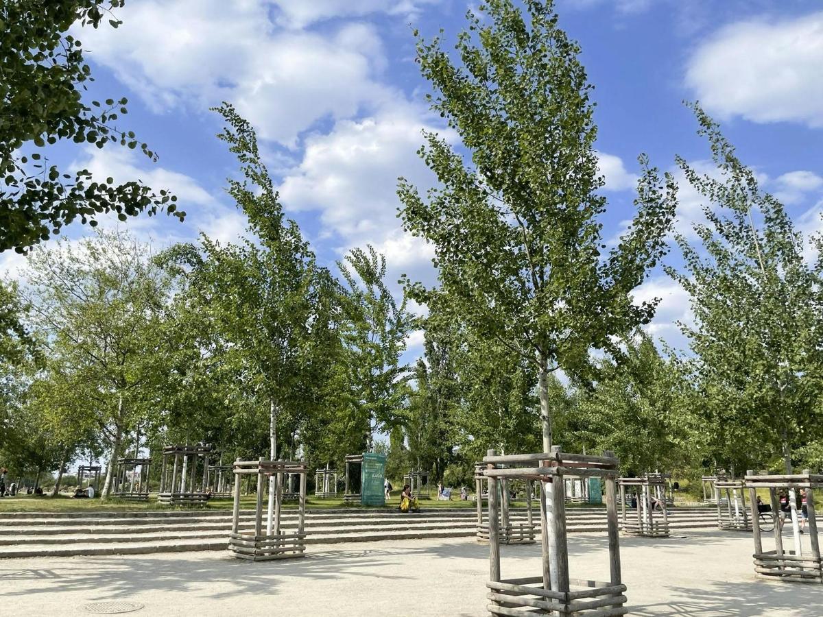 une aire de jeux avec des arbres dans un parc