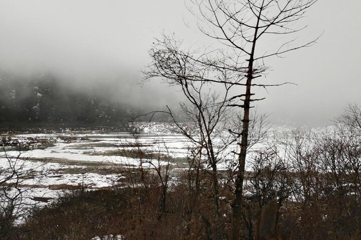 ein schneebedecktes Feld mit zwei Bäumen im Vordergrund