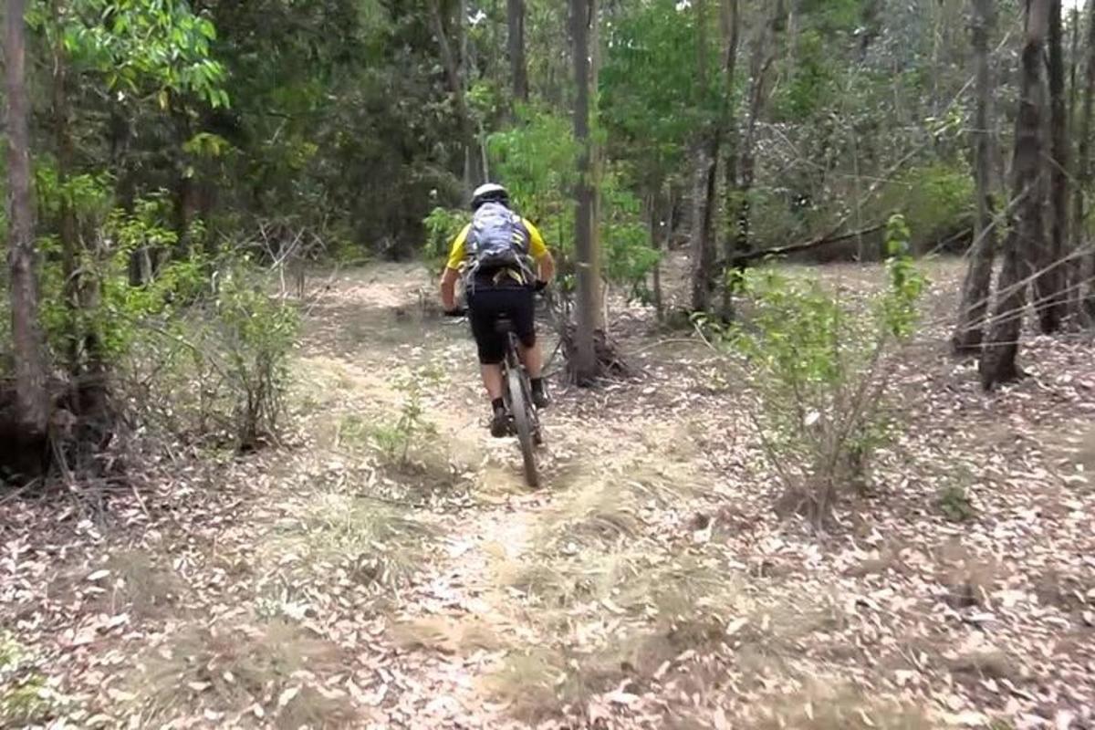 a person riding a bike on a trail in the woods