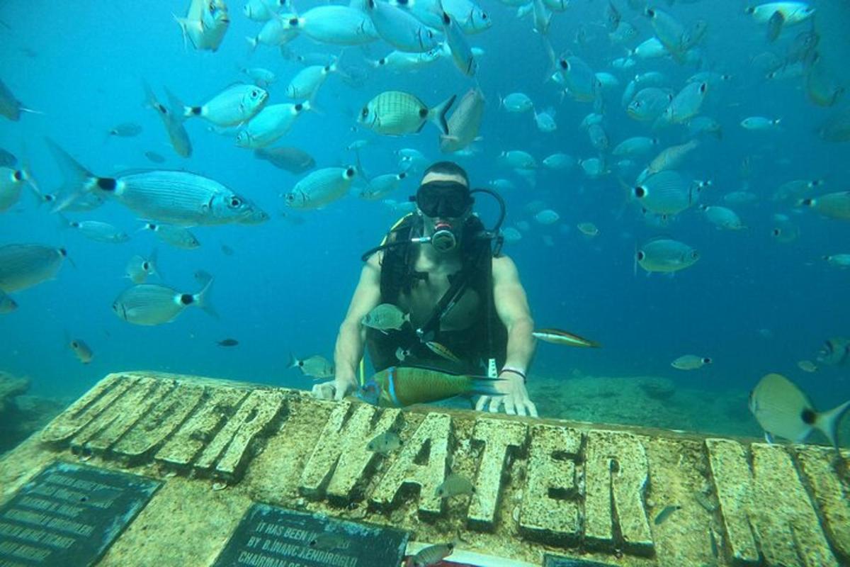 en mann under vann med et kamera og en fiskestim