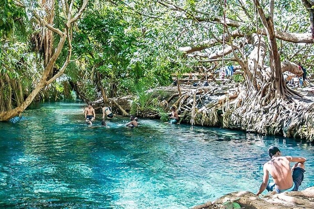 un gruppo di persone che nuotano in un fiume