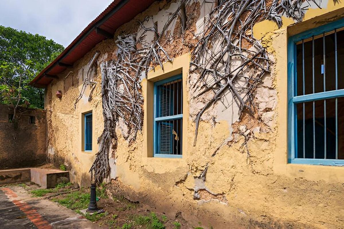 a building with vines on the side of it