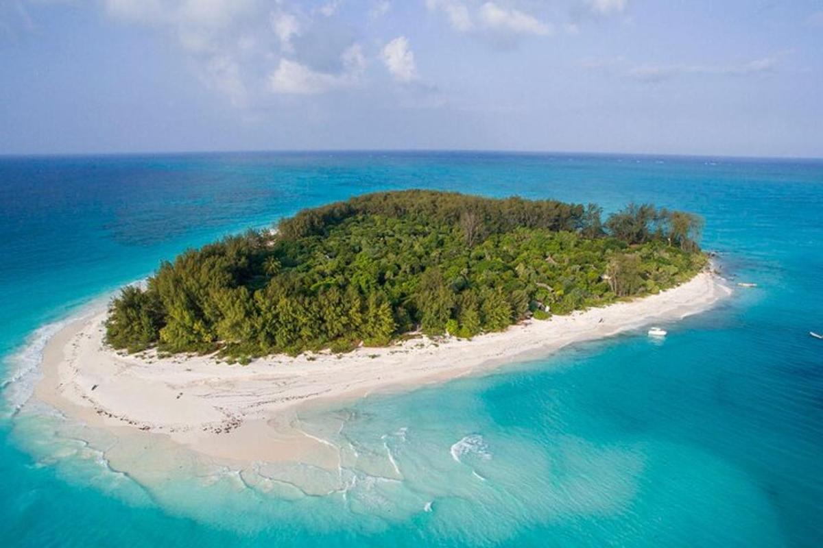 sebuah pulau di tengah lautan