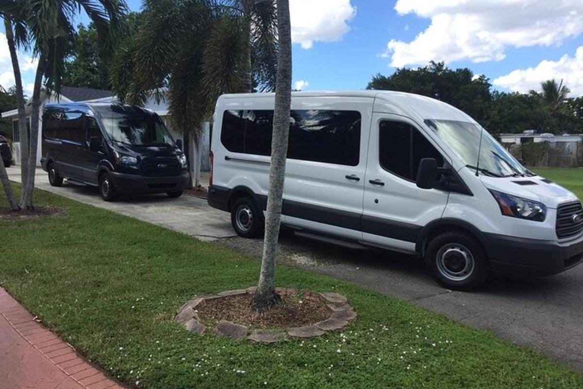 un furgone bianco è parcheggiato accanto a una palma