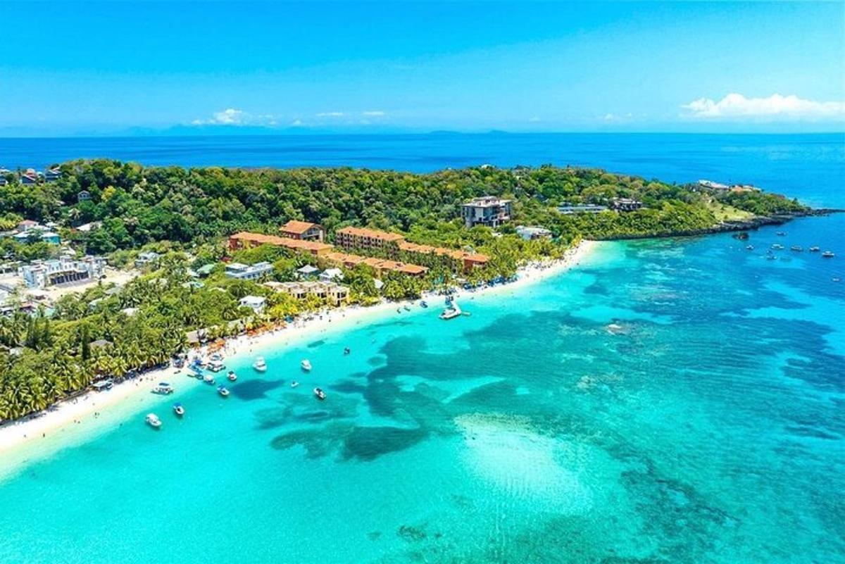 an aerial view of a beach with people in the water