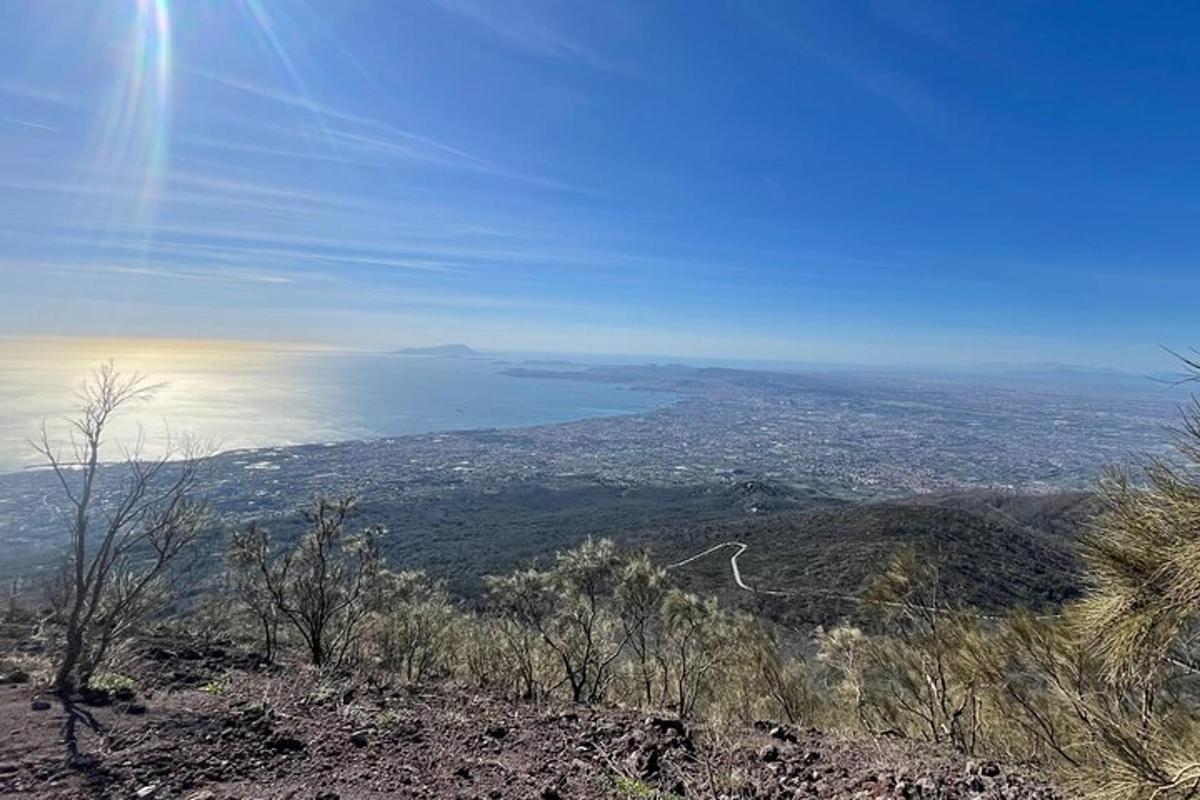 a view of the ocean from the top of a hill