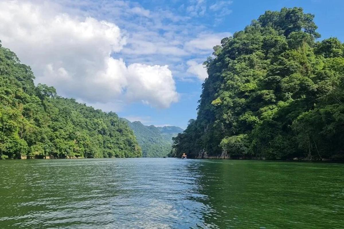 a view of a river in the middle of a forest