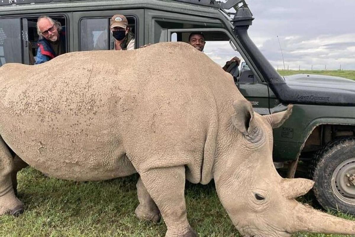 een grote olifant die naast een jeep staat