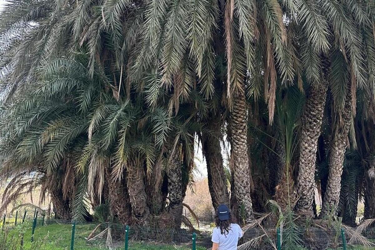 Una mujer parada junto a un grupo de palmeras