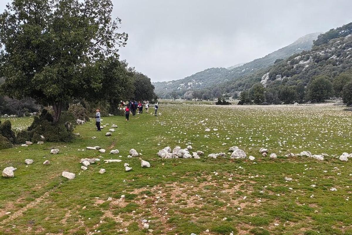 a group of people walking in a field with rocks
