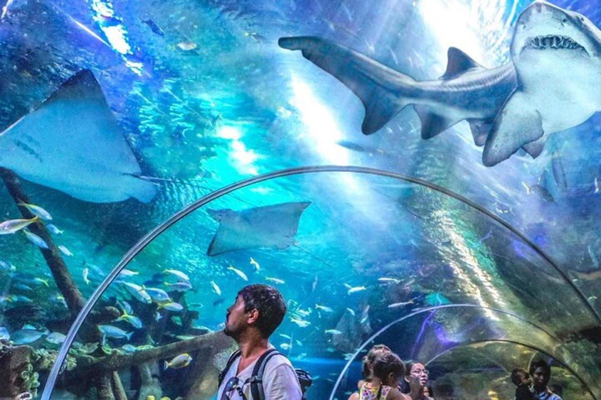a man standing in front of an aquarium with sharks