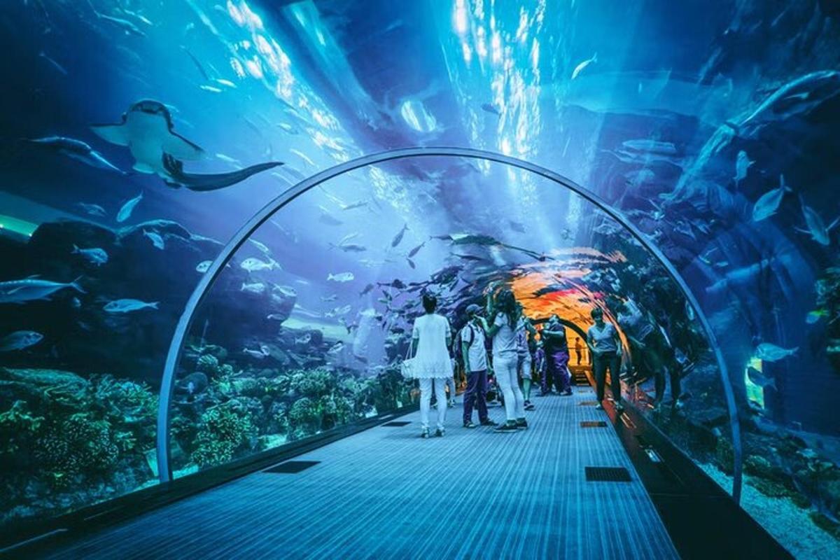 a group of people standing in front of an aquarium