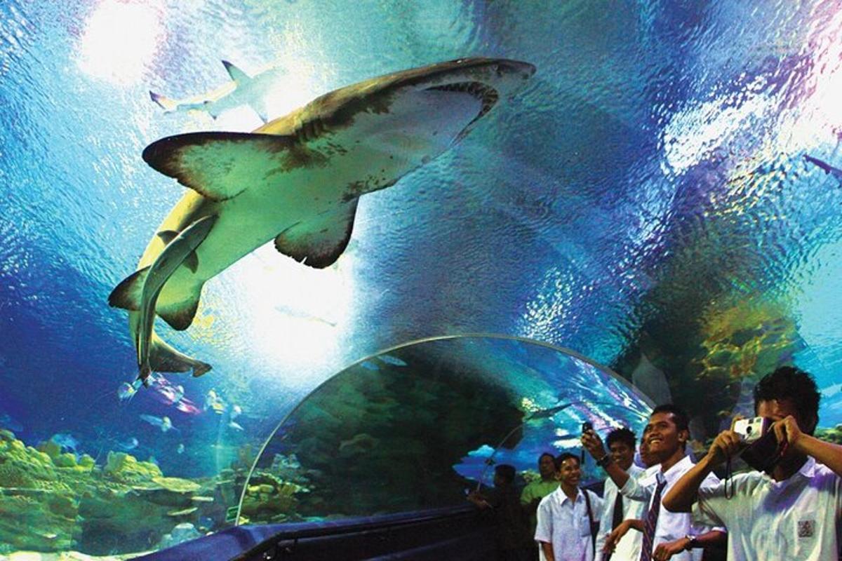 a group of people taking pictures of a shark in an aquarium