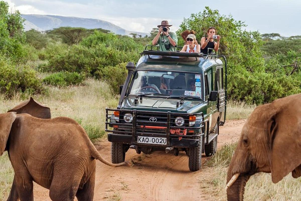a group of people riding in a vehicle on a dirt road with elephants