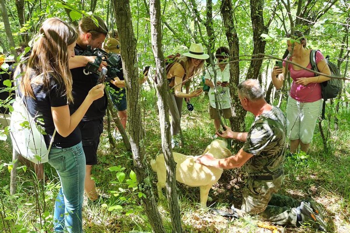en gruppe mennesker som tar bilder av en mann i skogen