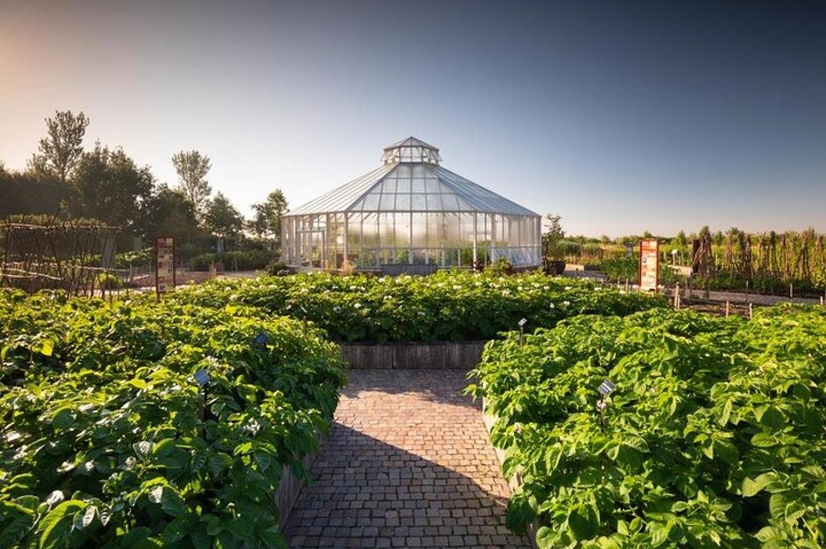 a large greenhouse in a garden with green plants