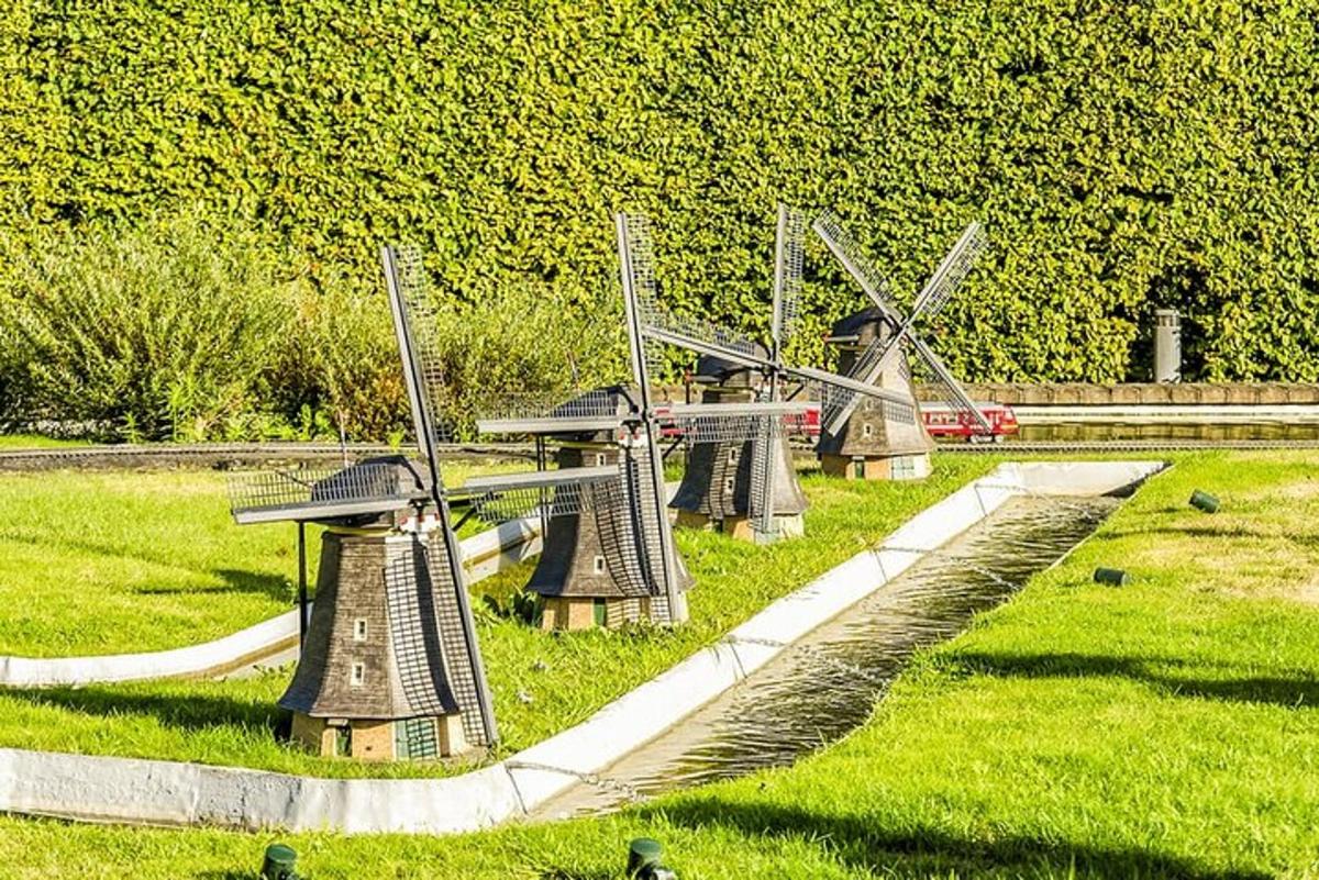 a group of windmills in a grassy field