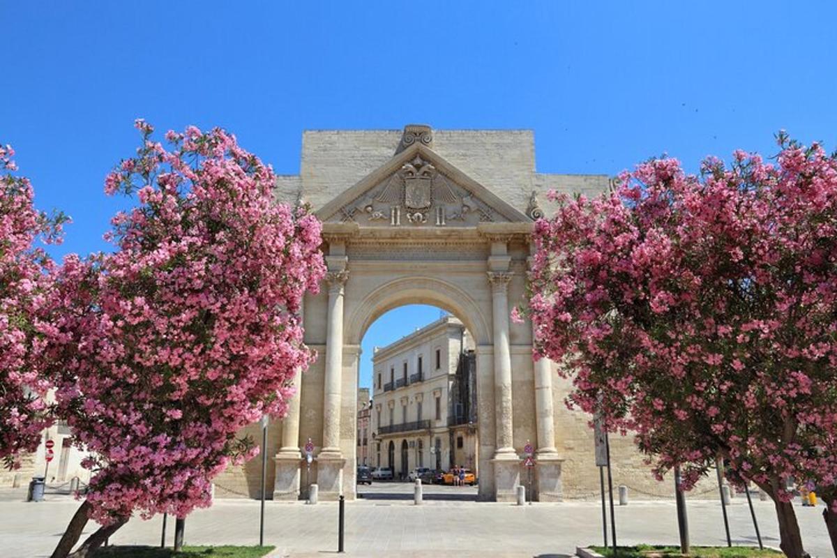 due alberi con fiori rosa davanti a un edificio