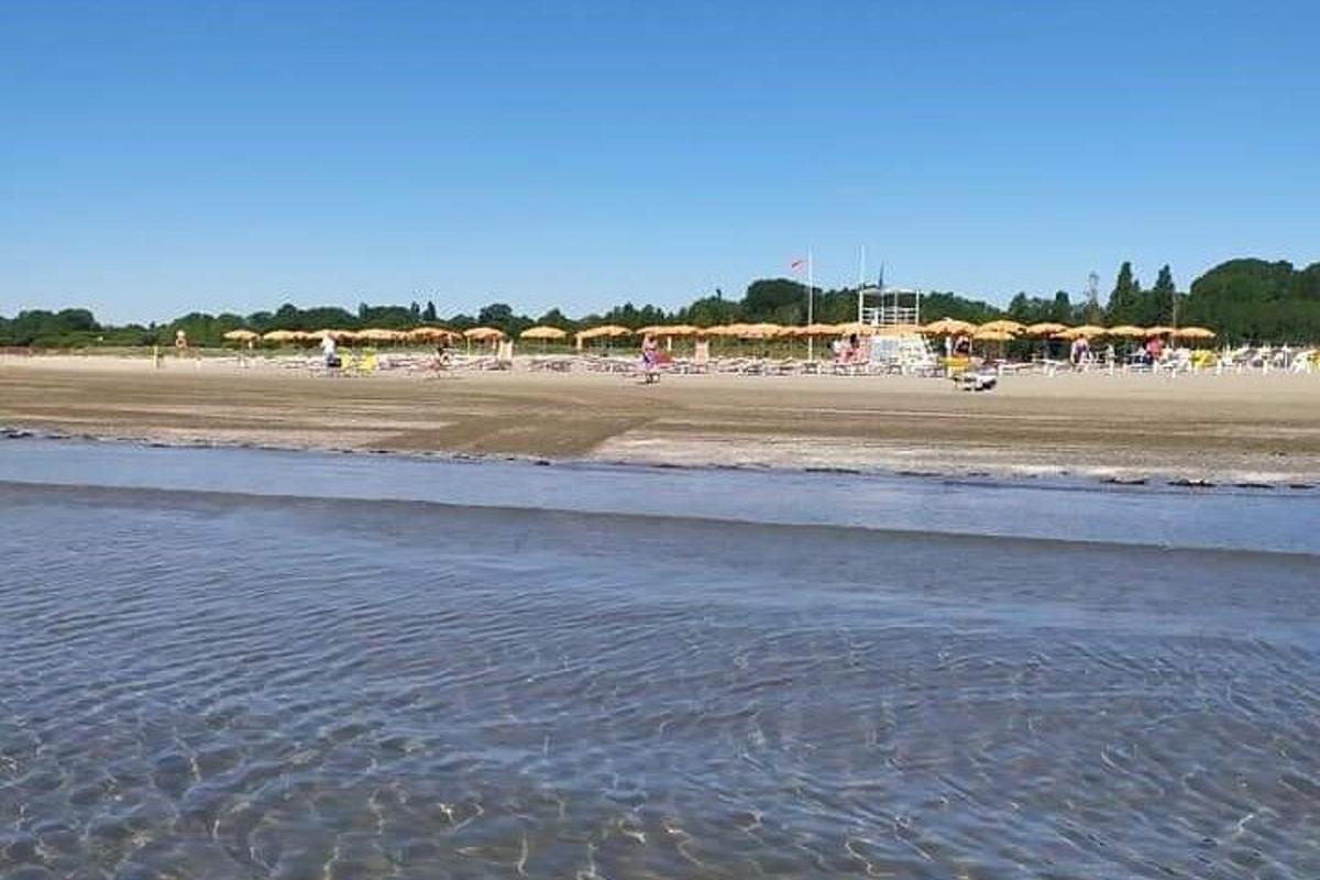 una platja amb para-sols i gent a la platja