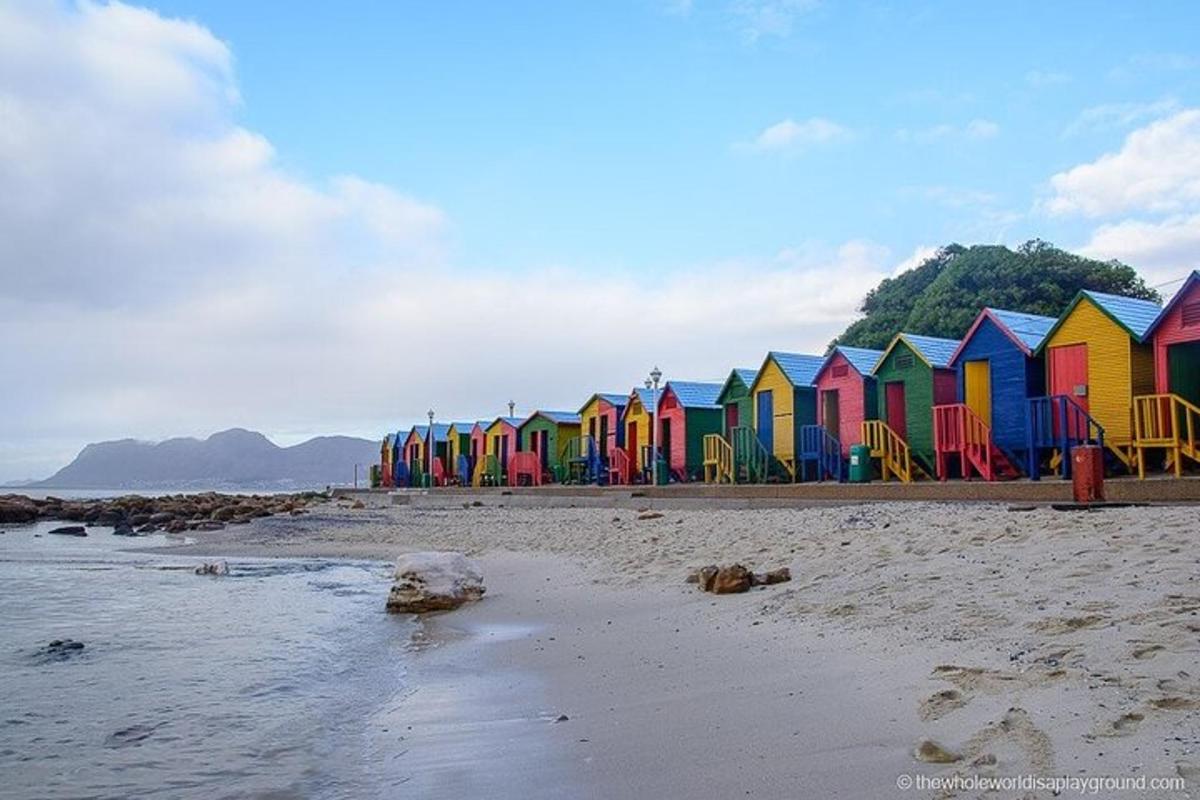 una filera de casetes de platja de colors a la platja