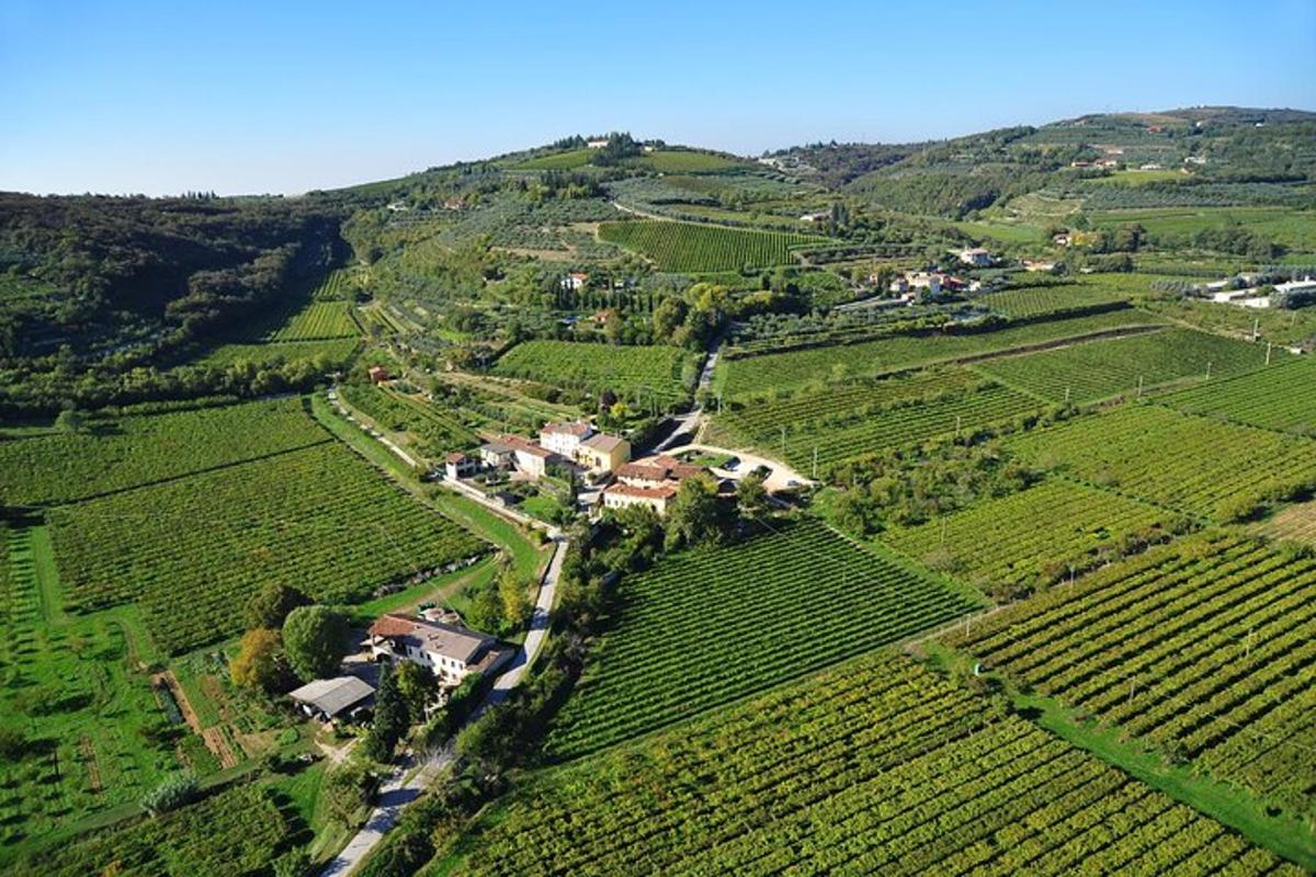 uma vista aérea de uma fazenda no meio de um campo